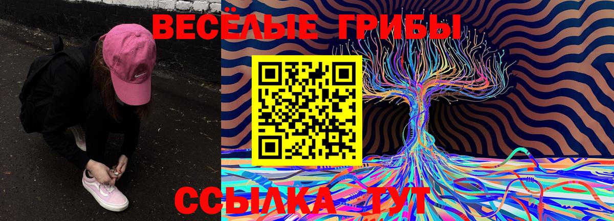 Галлюциногенные грибы Psilocybine cubensis Янаул